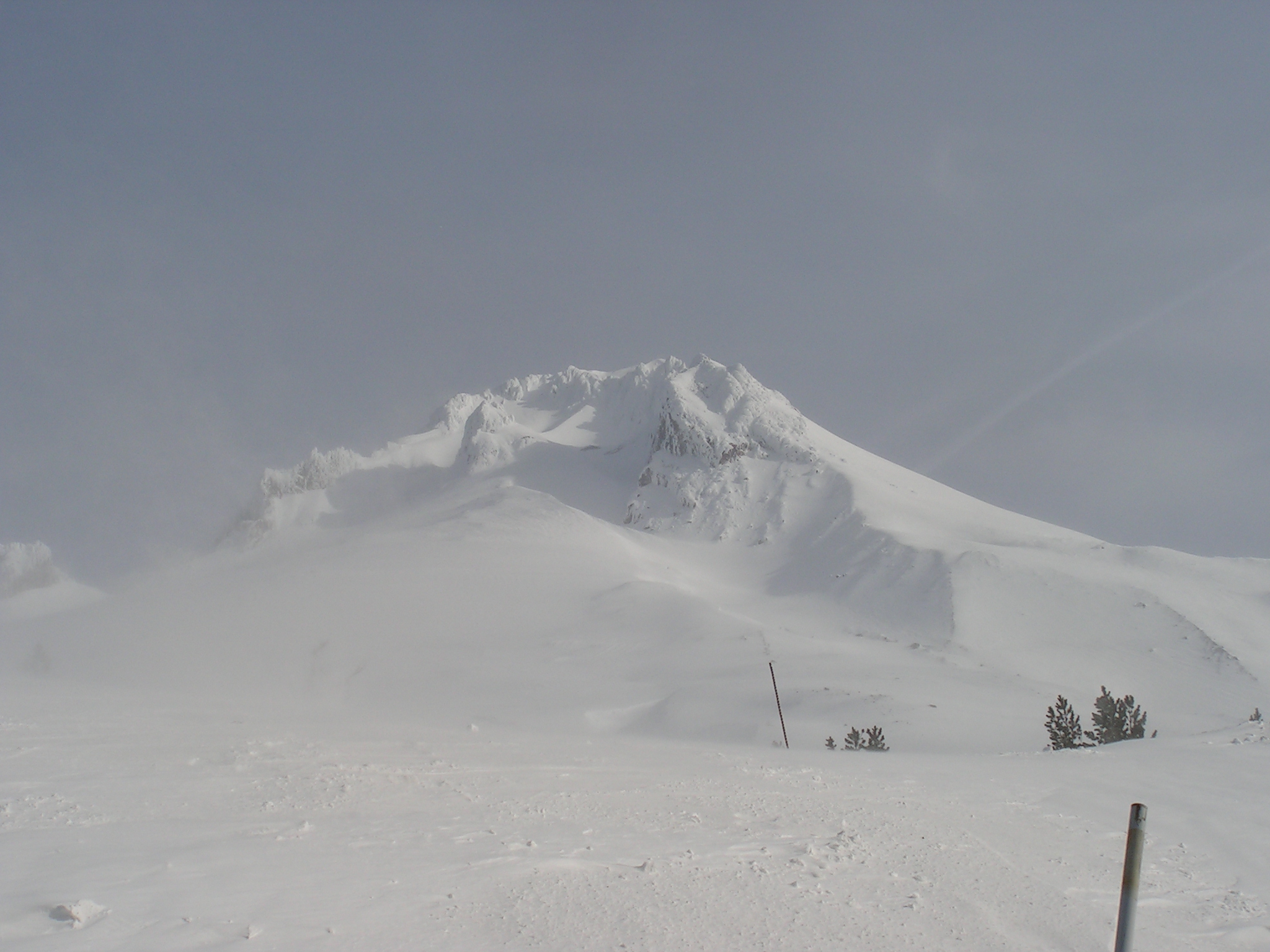 A windy day at Timberline...lifts closed!